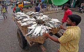 BANGLADESH-CHATTOGRAM-FISH LANDING STATION