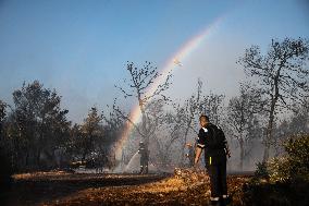 GREECE-ATTICA-WILDFIRE