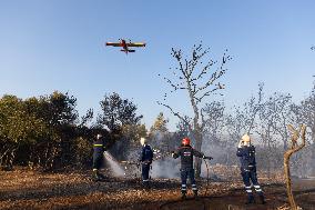 GREECE-ATTICA-WILDFIRE