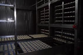 TÜRKIYE-ISTANBUL-BREAD PRODUCTION