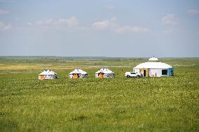 CHINA-INNER MONGOLIA-XILINGOL LEAGUE-GRASSLAND-SUMMER (CN)