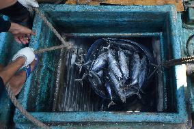 INDONESIA-JAKARTA-LOW FISH SUPPLY-FUEL PRICE