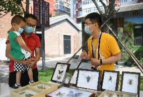 CHINA-BEIJING-FORMER WINE FACTORY-CULTURAL INDUSTRIAL PARK (CN)