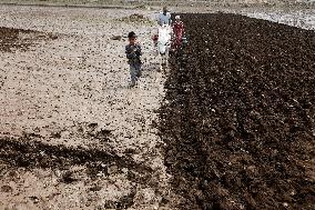 YEMEN-AMRAN-FARMING