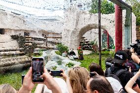 RUSSIA-MOSCOW-GIANT PANDAS-BIRTHDAY-CELEBRATION