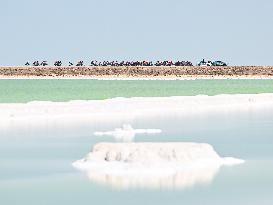 (SP)CHINA-QINGHAI-CYCLING-TOUR OF QINGHAI LAKE (CN)