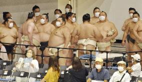 Sumo summer tour amid coronavirus pandemic