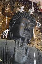 Annual cleaning of Great Buddha of Nara