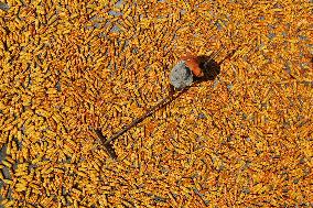 #CHINA-BEGINNING OF AUTUMN-FARMING (CN)