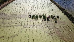 #CHINA-BEGINNING OF AUTUMN-FARMING (CN)