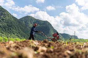 #CHINA-BEGINNING OF AUTUMN-FARMING (CN)