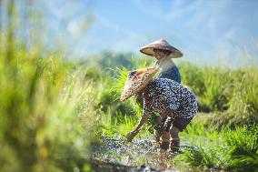 #CHINA-BEGINNING OF AUTUMN-FARMING (CN)