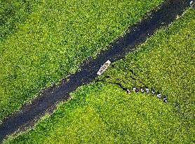 #CHINA-BEGINNING OF AUTUMN-FARMING (CN)