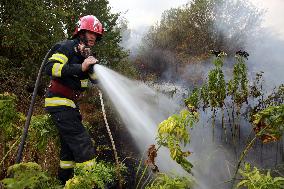 ROMANIA-TELEORMAN-DROUGHT