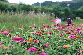 CHINA-HEBEI-LUANPING-TOURISM (CN)