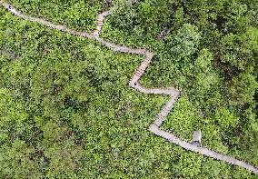 CHINA-HEBEI-LUANPING-TOURISM (CN)