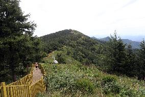 CHINA-HEBEI-LUANPING-TOURISM (CN)