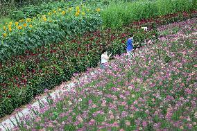 CHINA-HEBEI-LUANPING-TOURISM (CN)