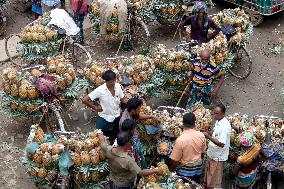 BANGLADESH-TANGAIL-PINEAPPLES-HARVEST