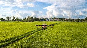 THAILAND-ROI ET-CHINA-MADE-AGRICULTURAL DRONES