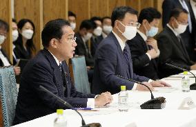 Reshuffled Kishida Cabinet to tackle higher prices