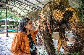 THAILAND-LAMPANG-ELEPHANT HOSPITAL