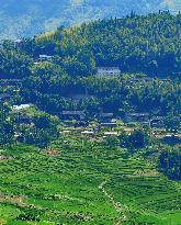 CHINA-FUJIAN-YOUXI-TERRACED FIELDS (CN)