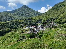 CHINA-FUJIAN-YOUXI-TERRACED FIELDS (CN)