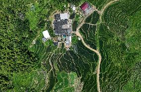 CHINA-FUJIAN-YOUXI-TERRACED FIELDS (CN)