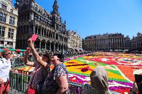 BELGIUM-BRUSSELS-FLOWER CARPET