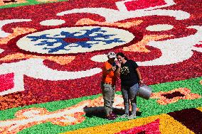 BELGIUM-BRUSSELS-FLOWER CARPET
