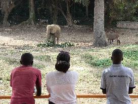 UGANDA-ENTEBBE-WORLD ELEPHANT DAY