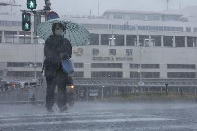 Typhoon Meari