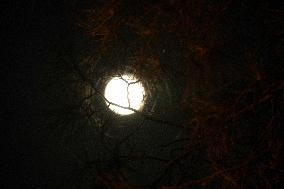 CYPRUS-TROODOS MOUNTAINS-FULL MOON