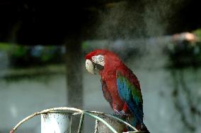 CHINA-SHANGHAI-NATURE-ANIMALS COOLING OFF (CN)