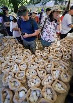 CANADA-RICHMOND-GARLIC FESTIVAL