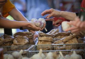 CANADA-RICHMOND-GARLIC FESTIVAL