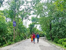 BANGLADESH-BARGUNA-BRI-ROAD TO PROSPERITY