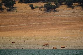 SPAIN-EXTREMADURA-DROUGHT