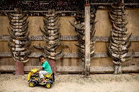 INDONESIA-TANAH TORAJA-DAILY LIFE