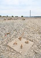 GERMANY-RIVER RHINE-WATER LEVEL