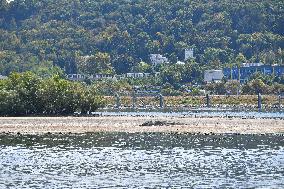 GERMANY-RIVER RHINE-WATER LEVEL