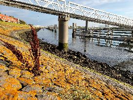 THE NETHERLANDS-AFSLUITDIJK DAM