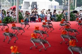 CHINA-BEIJING-WORLD ROBOT CONFERENCE 2022 (CN)