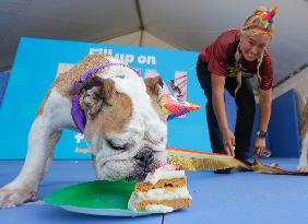 CANADA-VANCOUVER-PACIFIC NATIONAL EXHIBITION-FAIR-PREVIEW