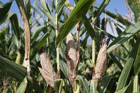 FRANCE-PARIS REGION-DROUGHT