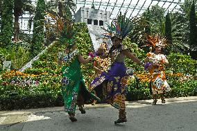 SINGAPORE-FLORAL DISPLAY