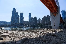 CHINA-CHONGQING-JIALING RIVER-WATER LEVEL (CN)