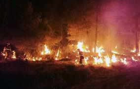 Xinhua Headlines: Heatwaves, severe droughts cause Europe searing pain