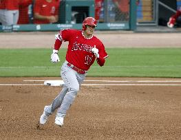 Baseball: Angels vs. Tigers